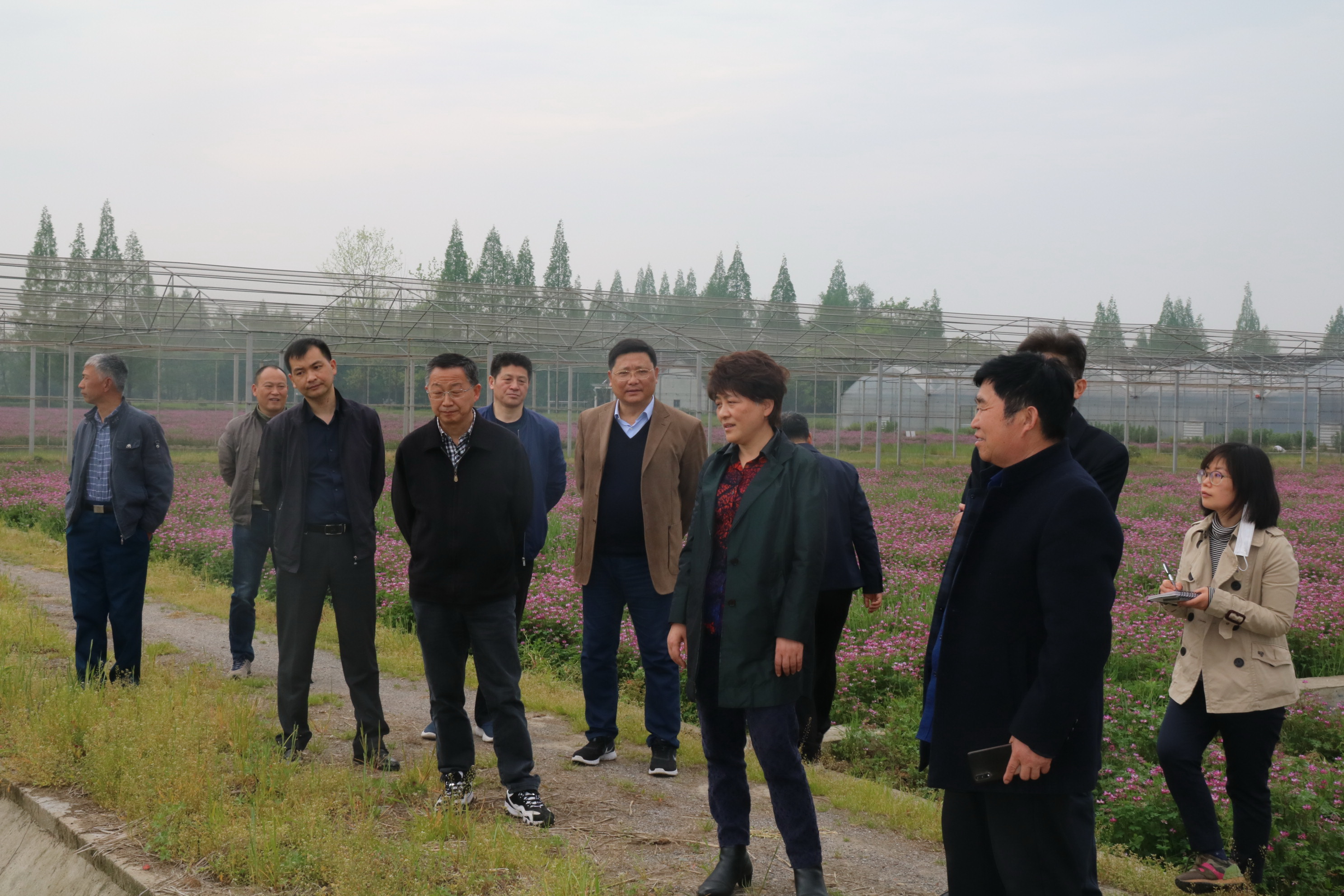 农工委主任郑锋等一行6人,到南陵县弋江镇专题调研我市紫云英产业